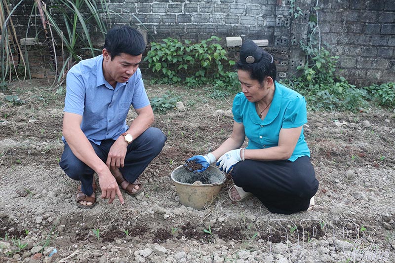 chăn nuôi tuần hoàn
