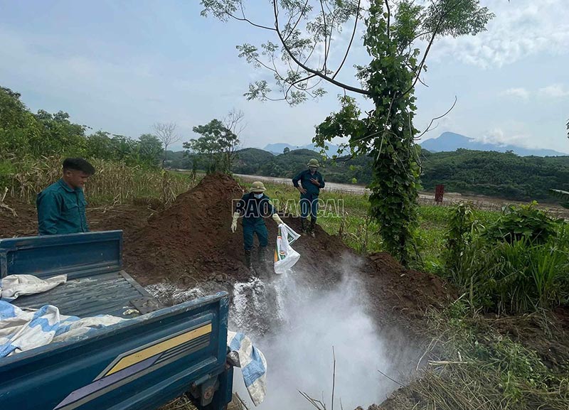 chống lây nhiễm virus Nipah