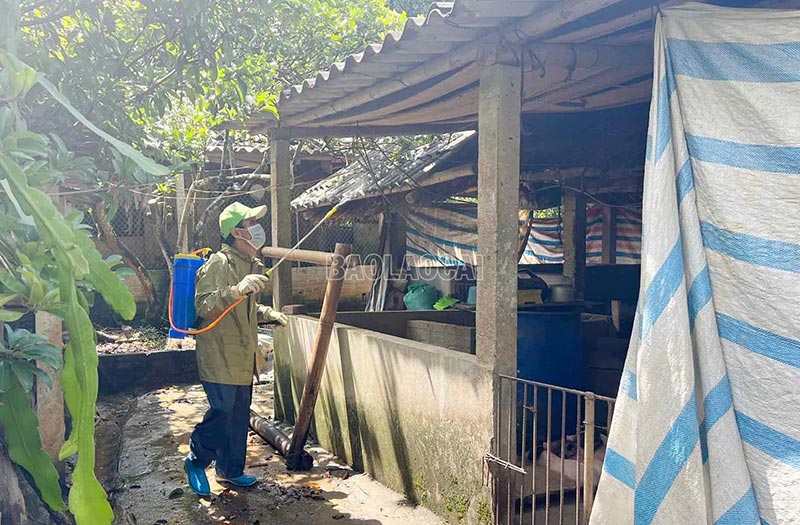 chống lây nhiễm virus Nipah