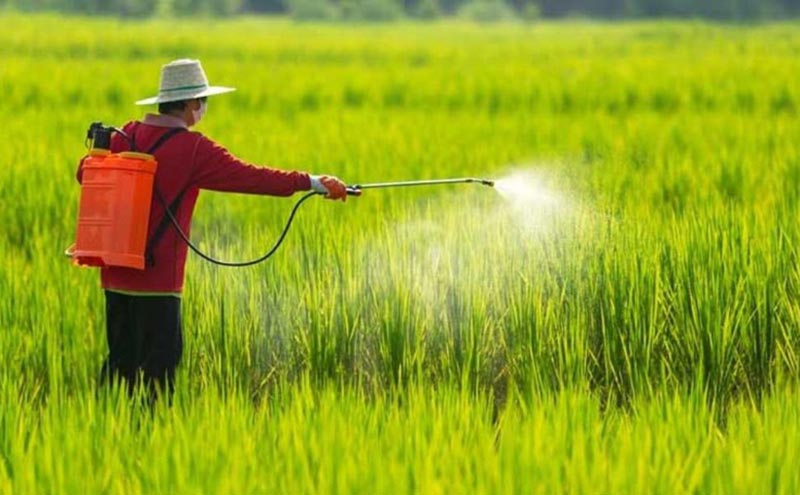 Nghị định số 33/2026/NĐ-CP