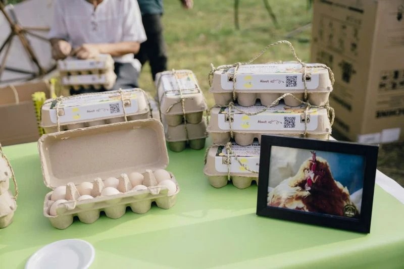 mô hình nuôi gà thảo mộc