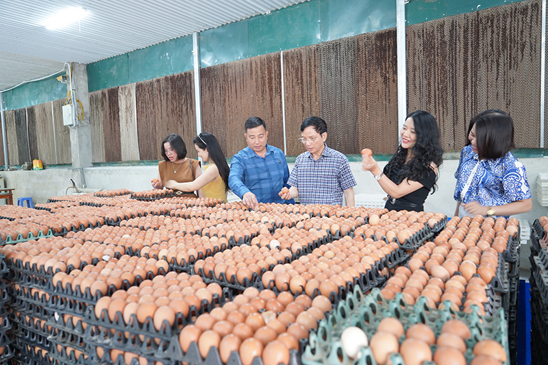 Hiệp hội Gia cầm Việt Nam