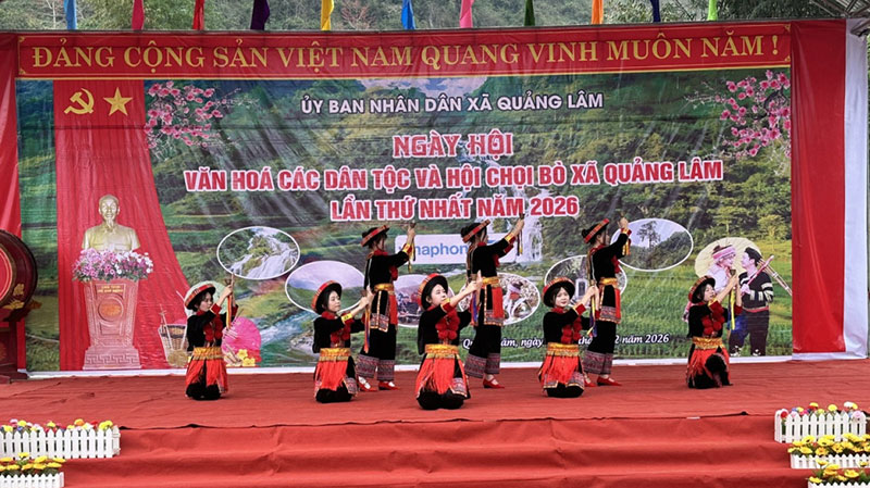 chọi bò xã Quảng Lâm