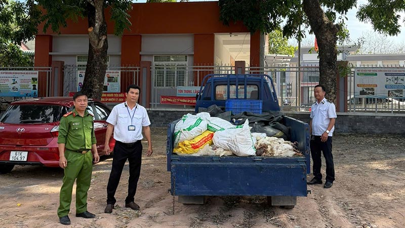 tiêu thụ gà chết