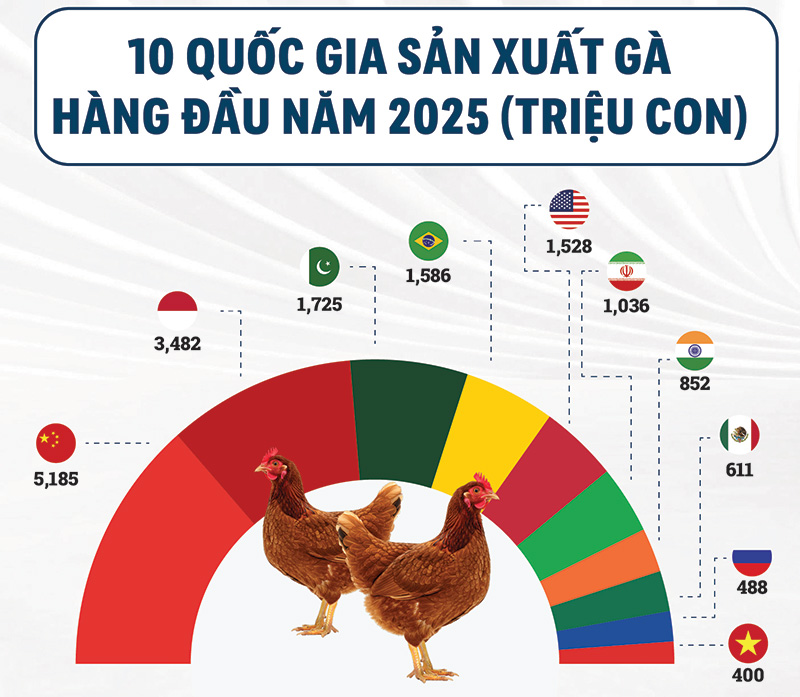 10 quốc gia sản xuất gà hàng đầu 2025