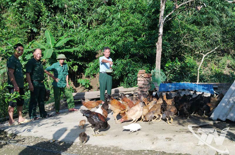 Ngân hàng gà đen