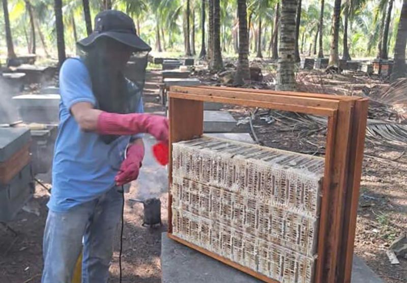 nuôi ong đồng tháp