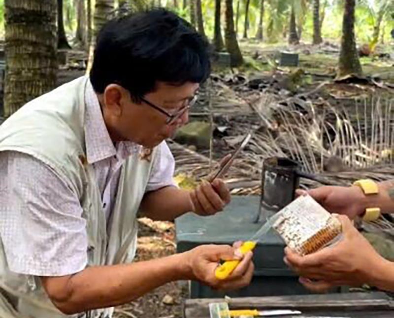 nuôi ong đồng tháp