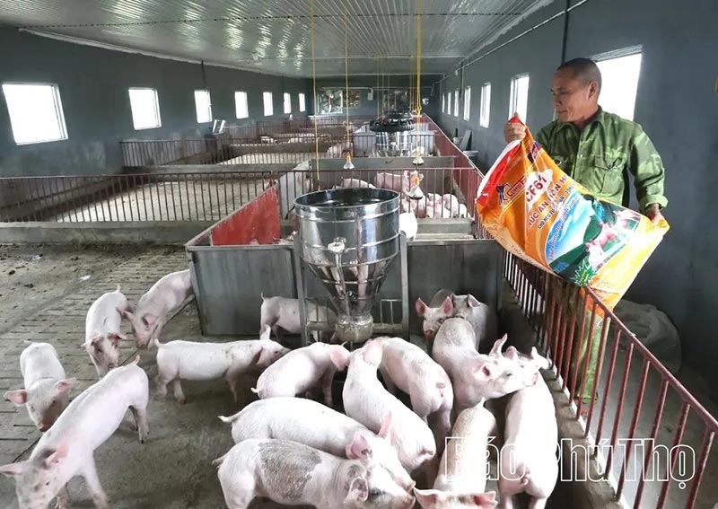 công nghệ số chăn nuôi