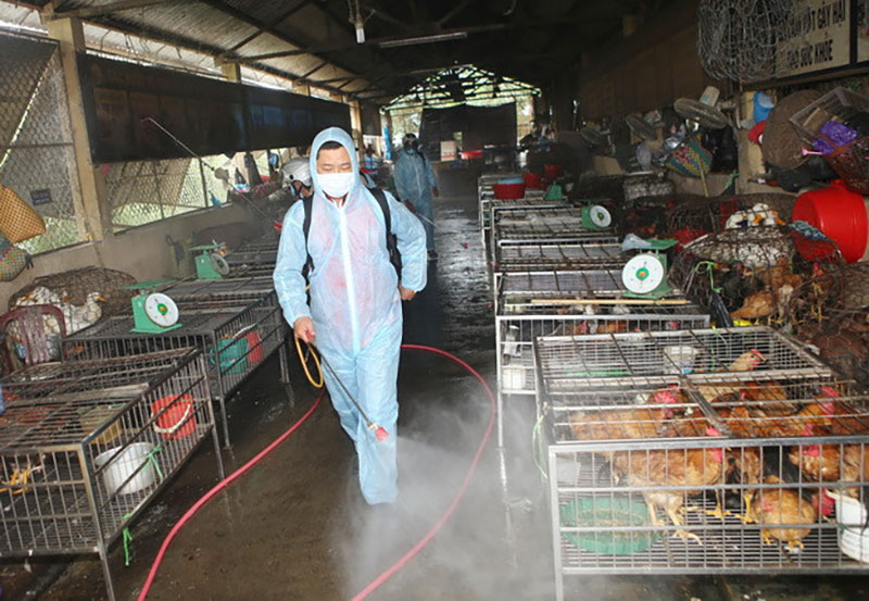 tiêu độc khử trùng