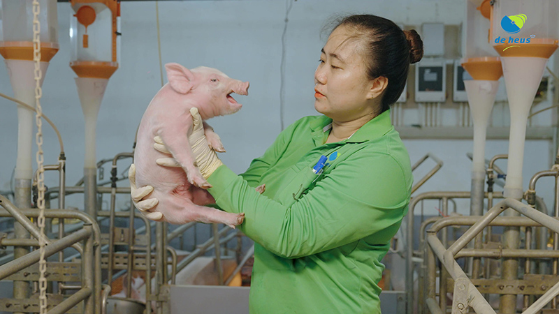 De Heus CJ Feed & Care