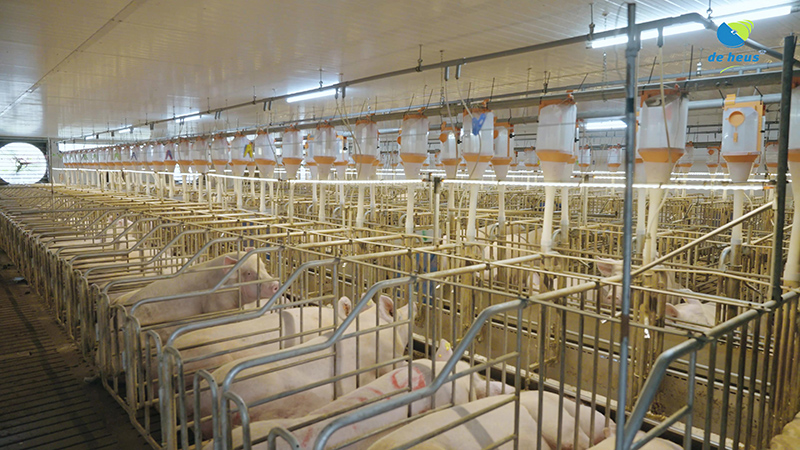 De Heus CJ Feed & Care