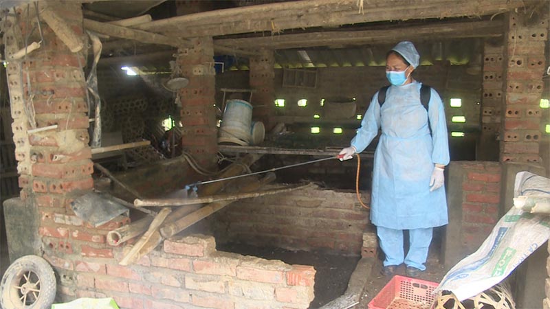 tái đàn gia cầm