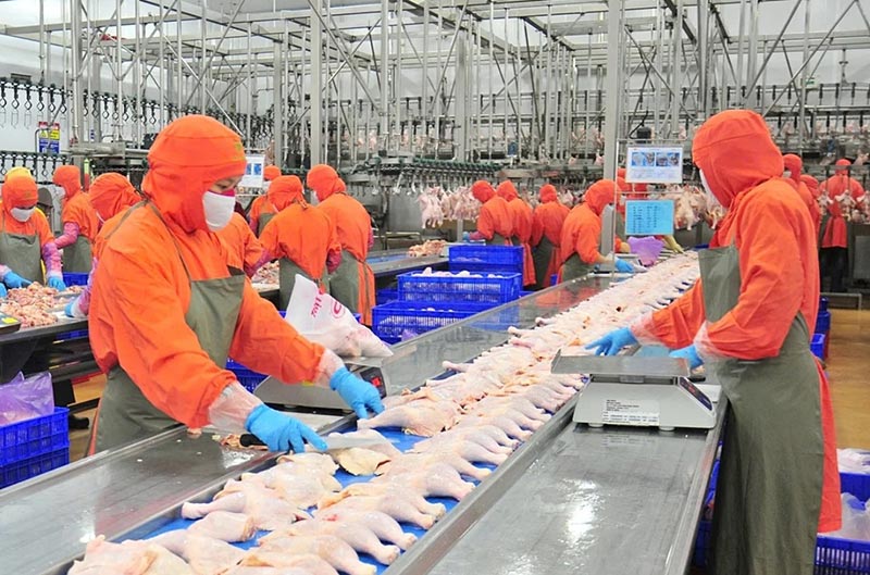 Chế biến gia cầm