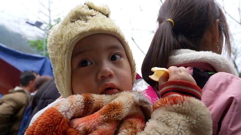 chọi bò Quảng Lâm