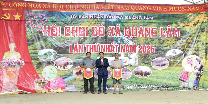 chọi bò Quảng Lâm