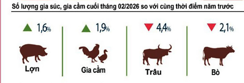 số lượng gia súc gia cầm