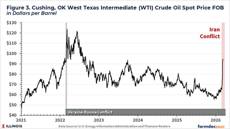 Thị trường ngô và đậu tương