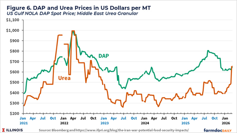 Thị trường ngô và đậu tương