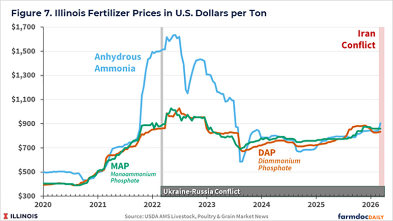 Thị trường ngô và đậu tương