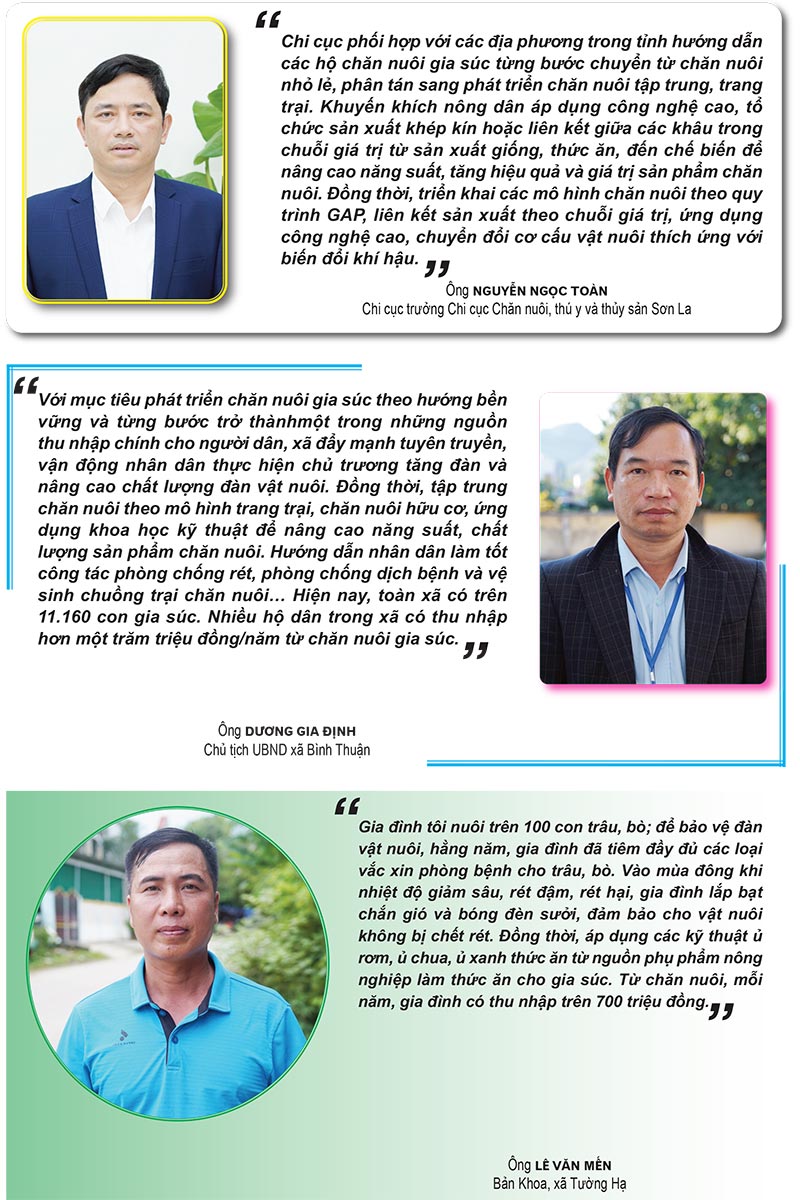 chăn nuôi gia súc