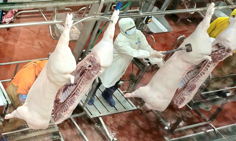 giết mổ gia súc gia cầm hà nội