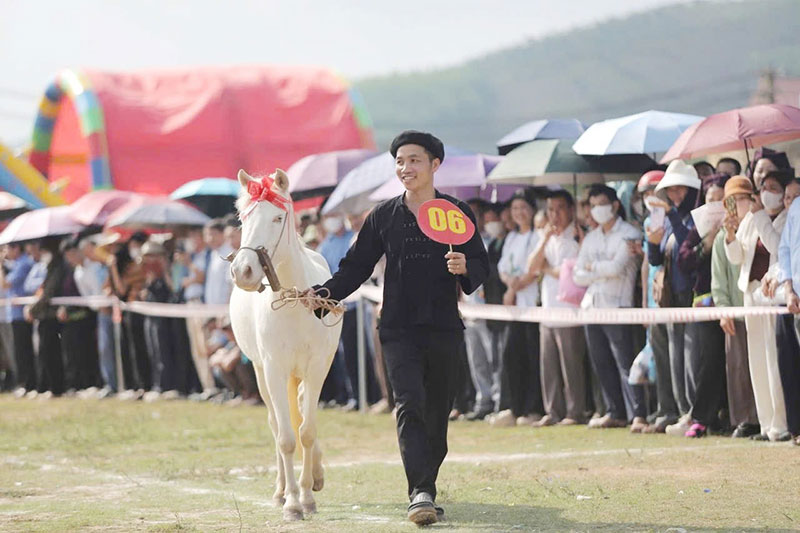 hoa hậu ngựa