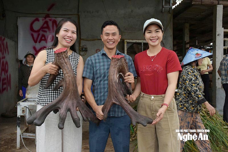 nhung nai giá 100 triệu