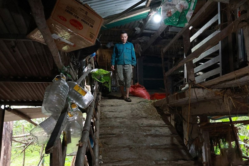 nuôi hươu trên nhà tầng