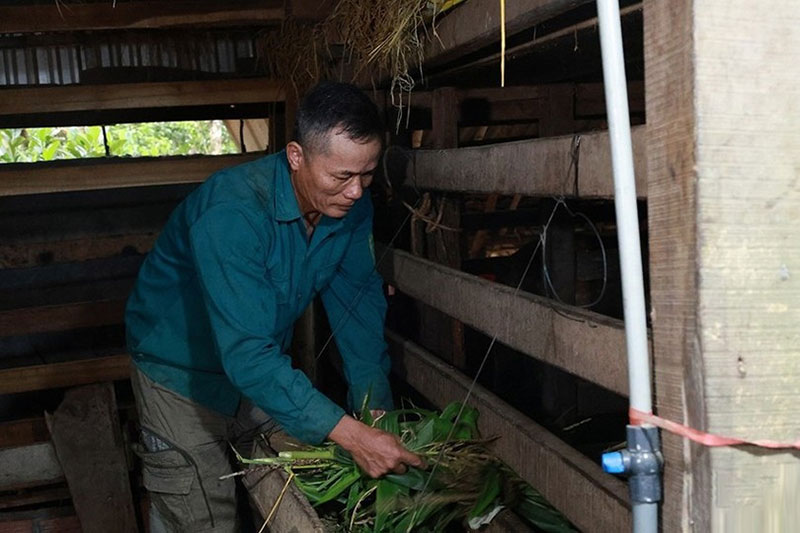 nuôi hươu trên nhà tầng