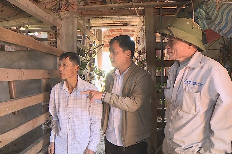 nuôi hươu trên nhà tầng