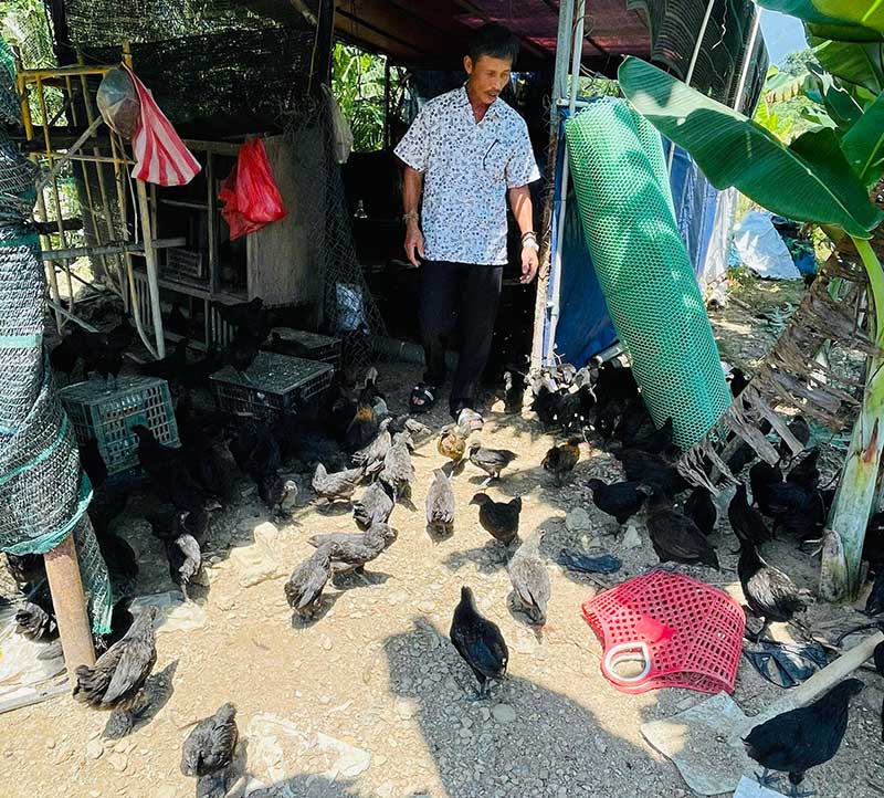 tái đàn vật nuôi