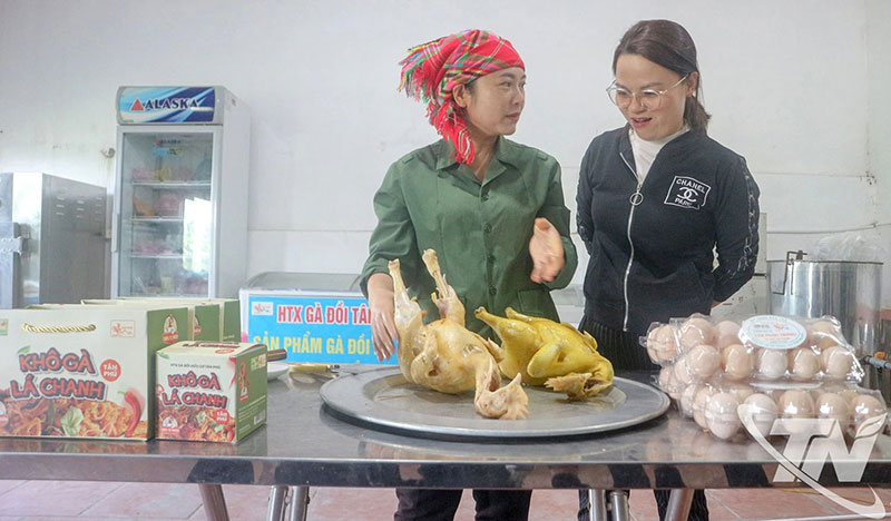 chăn nuôi bền vững