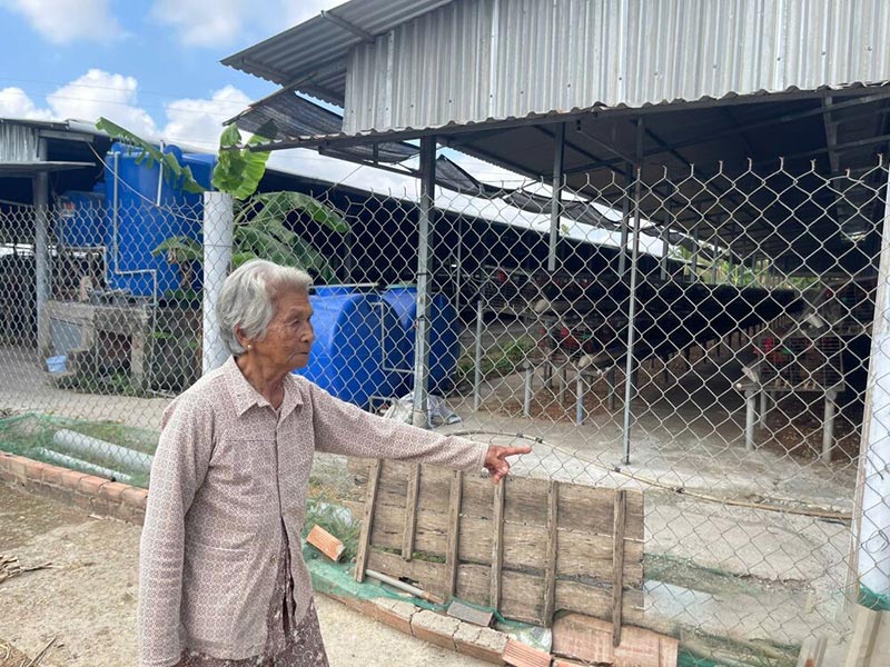 mùi hôi từ trại nuôi gà