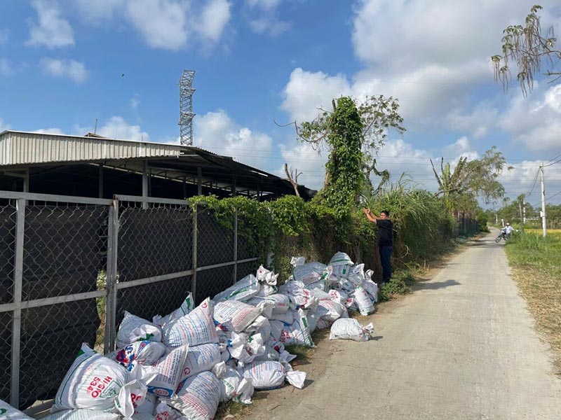 mùi hôi từ trại nuôi gà