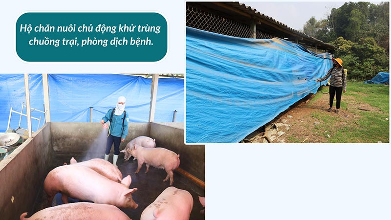 chăm sóc vật nuôi giao mùa