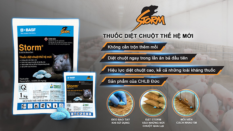 Kiểm soát chuột chuồng trại