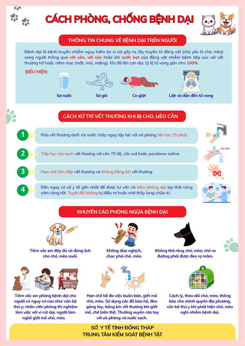 cách phòng chống bệnh dại