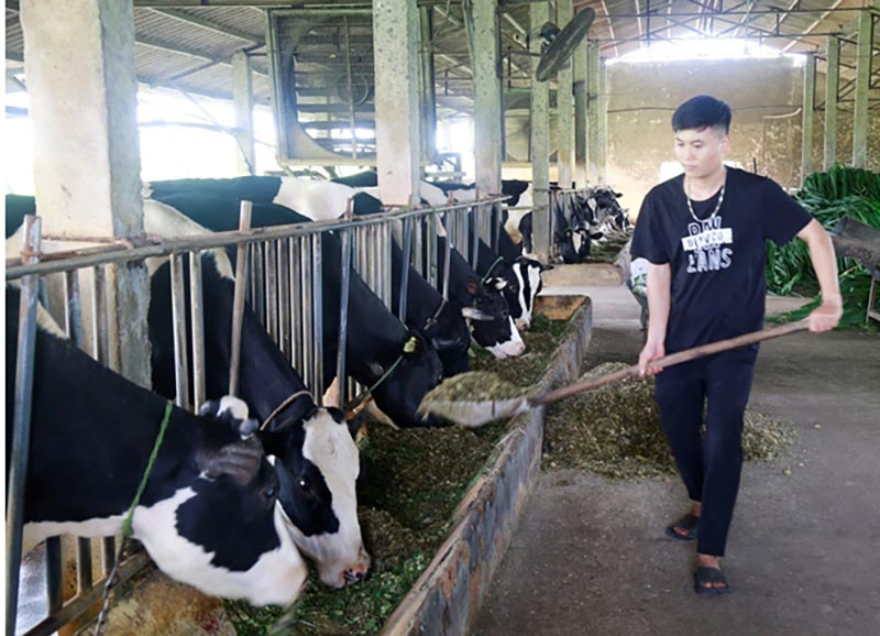 công ty sữa hà nam