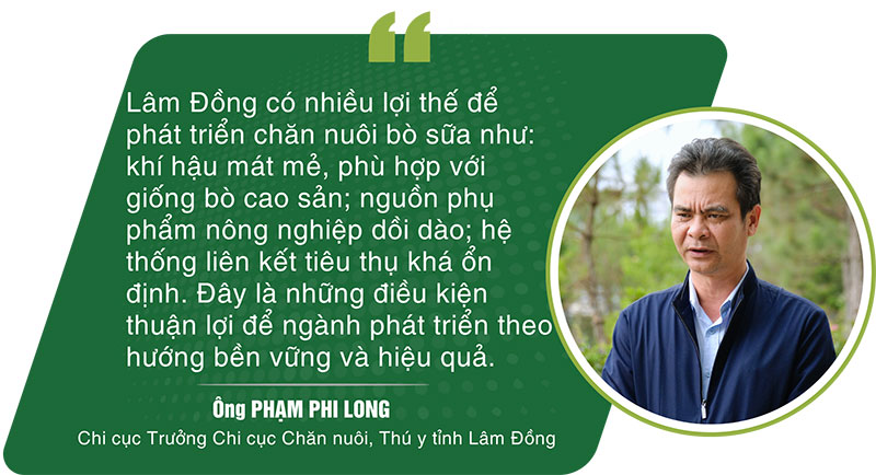 bò sữa lâm đồng