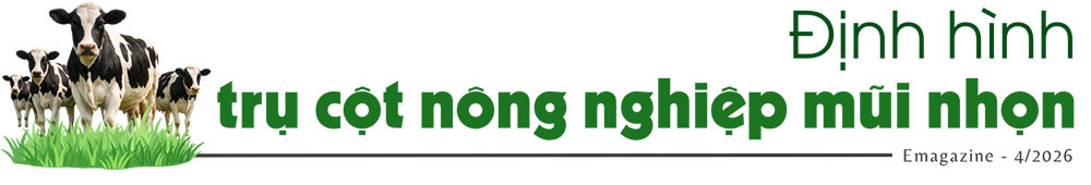 bò sữa lâm đồng