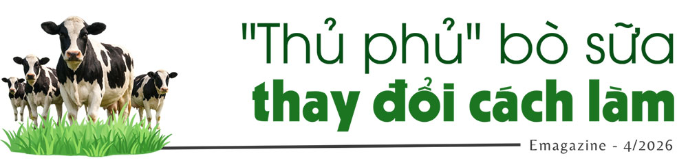 bò sữa lâm đồng