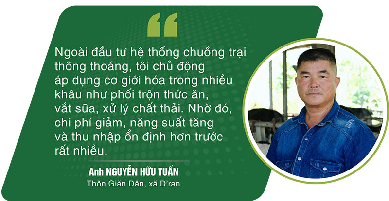 bò sữa lâm đồng