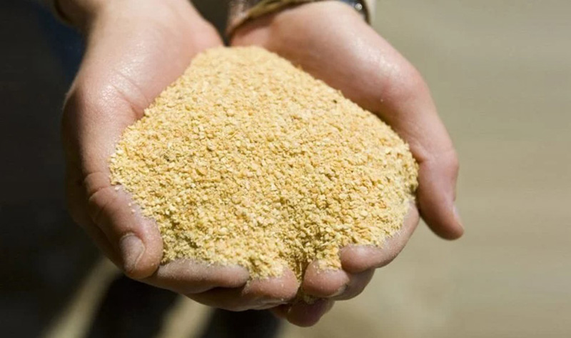 bột đậu tương