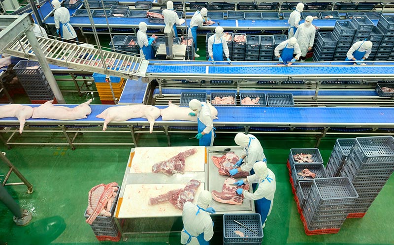 giết mổ tại C.P. Việt nam