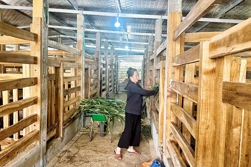 thủ phủ hươu sao