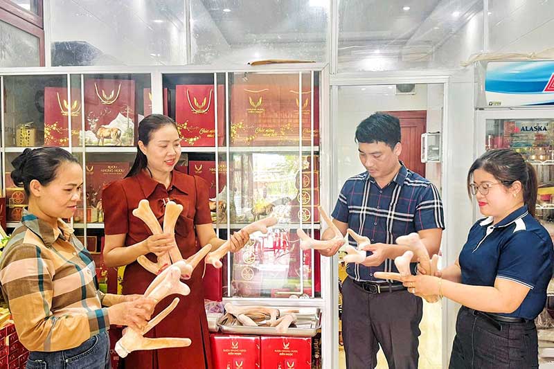 thủ phủ hươu sao