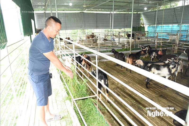 kinh tế tuần hoàn