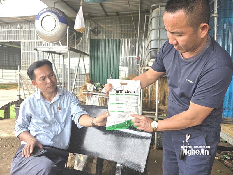 kinh tế tuần hoàn