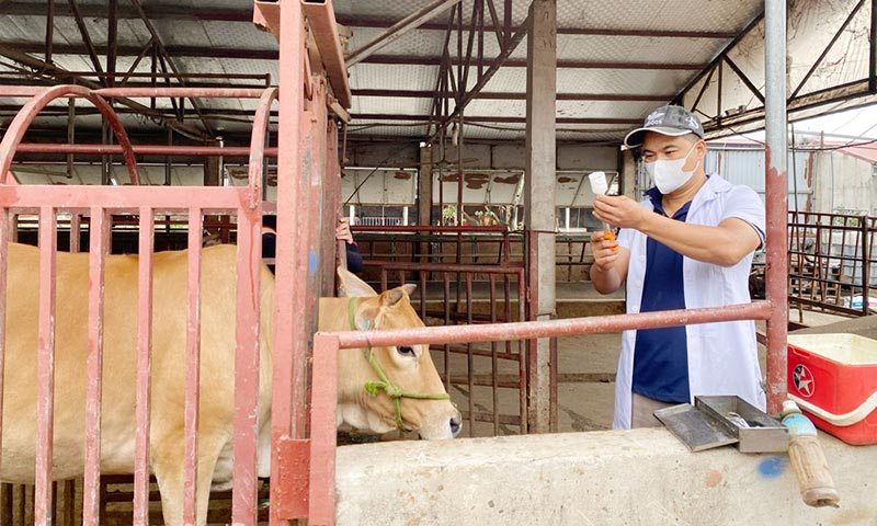 chống dịch lở mồm long móng